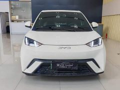 BYD Seagull 2025 405km Flying Edition - ფოტო 2