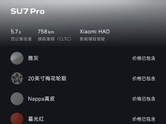 Xiaomi SU7 Rear-Wheel Drive Ultra-Long Range Advanced Autonomous Driving Pro - ფოტო 8