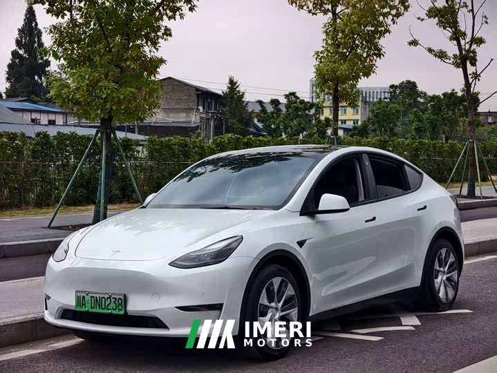 Tesla Model Y Standard Range RWD - ავტომობილი ჩინეთიდან