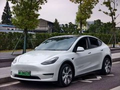 Tesla Model Y Standard Range RWD - ფოტო 1