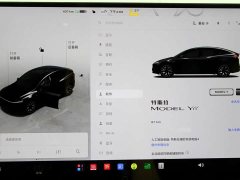 Tesla Model Y L 2025 Long Range All-Wheel Drive - ფოტო 18