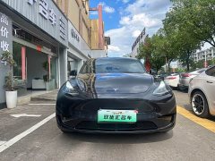 Tesla Model Y Rear-Wheel Drive - ფოტო 2