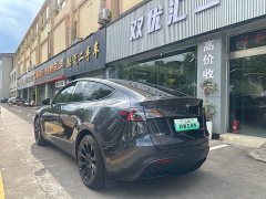 Tesla Model Y Rear-Wheel Drive - ფოტო 7