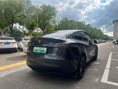 Tesla Model Y Rear-Wheel Drive - ფოტო 9