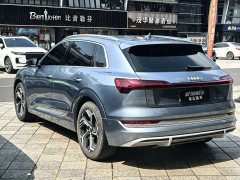 Audi e-tron 2021 50 quattro Premium - ფოტო 8