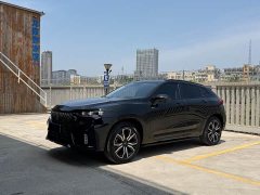 Great Wall WEY VV7 New Energy 2020 PHEV 2.0T Flagship - ფოტო 1