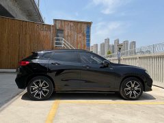 Great Wall WEY VV7 New Energy 2020 PHEV 2.0T Flagship - ფოტო 11