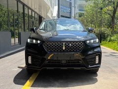 Great Wall WEY VV7 2.0T Tech Edition - ფოტო 2