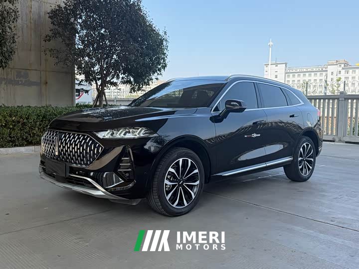 Great Wall Wei Brand Mocha 2.0T Two-Wheel Drive Rich Edition