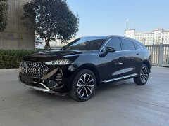 Great Wall Wei Brand Mocha 2021 2.0T Two-Wheel Drive Rich Edition - ფოტო 1