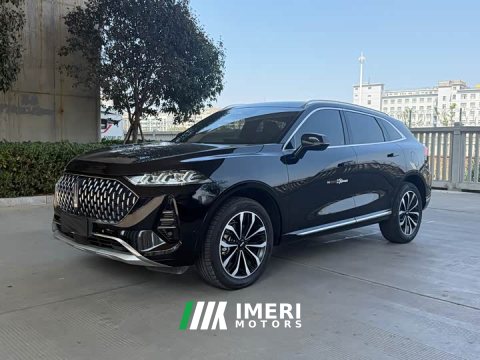 2022 Great Wall Wei Brand Mocha 2021 2.0T Two-Wheel Drive Rich Edition - ავტომობილი ჩინეთიდან