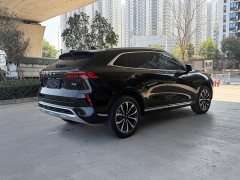 Great Wall Wei Brand Mocha 2021 2.0T Two-Wheel Drive Rich Edition - ფოტო 10