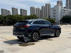 Great Wall WEY Mocha 2021 2.0T Two-Wheel Drive Premium Edition - ფოტო 9