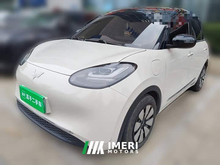 Wuling Binguo 2023 333km Joy Edition - ავტომობილი ჩინეთიდან