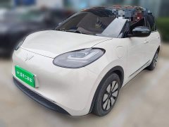 Wuling Binguo 2023 333km Joy Edition - ფოტო 1
