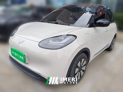 2024 Wuling Binguo 2023 333km Joy Edition - ავტომობილი ჩინეთიდან