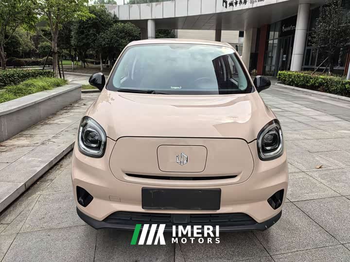 Leapmotor Leapo T03 Haoyu Edition