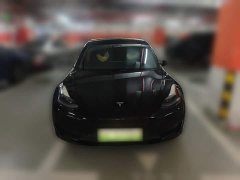 Tesla Model 3 Standard Range RWD Upgrade - ფოტო 2