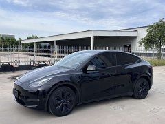 Tesla Model Y Long Range All-Wheel Drive - ფოტო 1