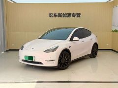 Tesla Model Y Performance All-Wheel Drive - ფოტო 1