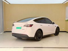 Tesla Model Y Performance All-Wheel Drive - ფოტო 15