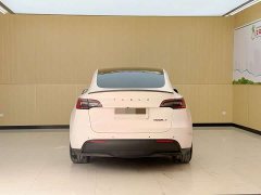 Tesla Model Y Performance All-Wheel Drive - ფოტო 16