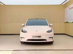 Tesla Model Y Performance All-Wheel Drive - ფოტო 2