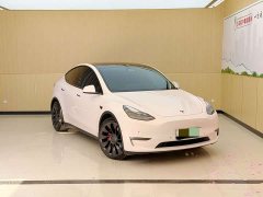 Tesla Model Y Performance All-Wheel Drive - ფოტო 3