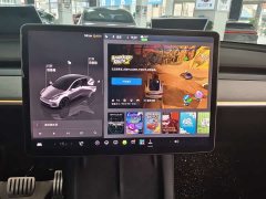 Tesla Model Y Performance All-Wheel Drive - ფოტო 8