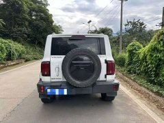Tank 300 2023 Urban Edition 2.0T Essential - ფოტო 2