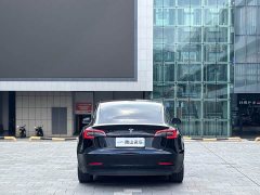 Tesla Model 3 2022 Rear-Wheel Drive - ფოტო 13