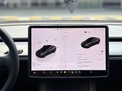 Tesla Model 3 2022 Rear-Wheel Drive - ფოტო 7