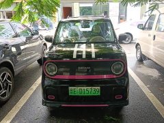 Geely Panda 200km Panda Kart - ფოტო 2