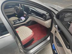 BYD Qin PLUS Champion Edition DM-i 55KM Leading - ფოტო 8