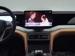 BYD Song L DM-i 2024 112km Leading Edition - ფოტო 12