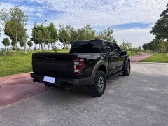 Ford F-150 Raptor 2022 3.5T Raptor - ფოტო 8