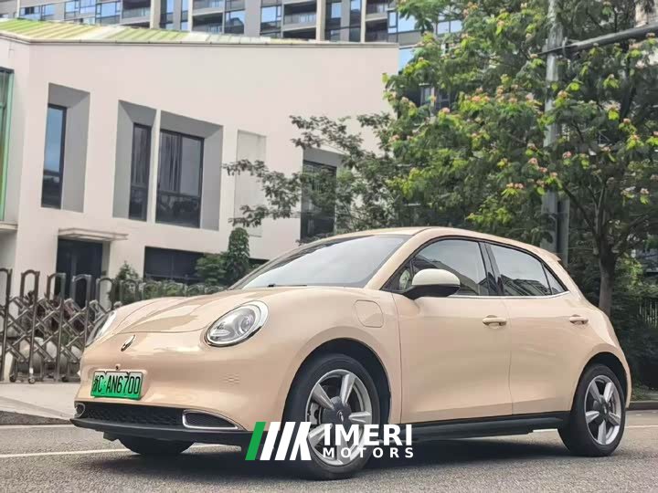 ORA Good Cat 400km Standard Range Muse Edition LFP Battery - ავტომობილი ჩინეთიდან