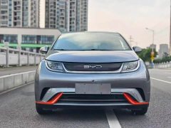 BYD Dolphin 405km Freedom Edition - ფოტო 1