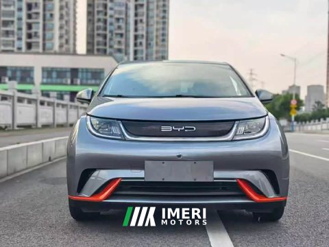 2022 BYD Dolphin 405km Freedom Edition - ავტომობილი ჩინეთიდან