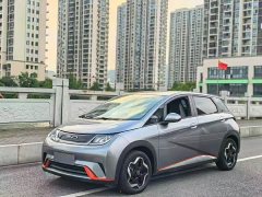 BYD Dolphin 405km Freedom Edition - ფოტო 2