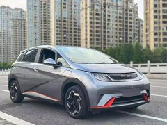 BYD Dolphin 405km Freedom Edition - ფოტო 3