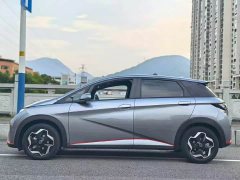 BYD Dolphin 405km Freedom Edition - ფოტო 4