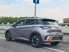 BYD Dolphin 405km Freedom Edition - ფოტო 8