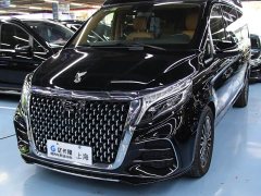 Mercedes-Benz Yasheng V-Class 2.0T Yasheng Yujian - photo 1