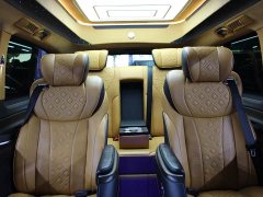 Mercedes-Benz Yasheng V-Class 2.0T Yasheng Yujian - photo 11