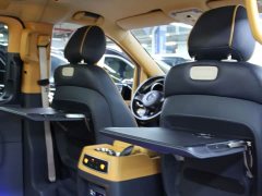 Mercedes-Benz Yasheng V-Class 2.0T Yasheng Yujian - photo 19