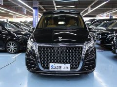 Mercedes-Benz Yasheng V-Class 2.0T Yasheng Yujian - photo 2