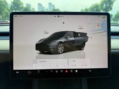 Tesla Model Y 2022 Facelift Rear-Wheel Drive - фото 13