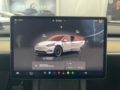 Tesla Model Y 2022 Facelift Rear-Wheel Drive - ფოტო 9