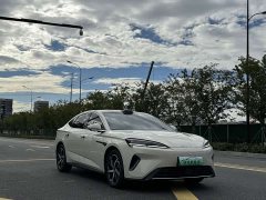 BYD Dolphin 07 DM-i 2026 DM-i 1.5T 230km Flagship - ფოტო 2